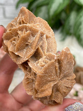 Load image into Gallery: Contempo Crystals - Desert Rose Selenite - Image 14