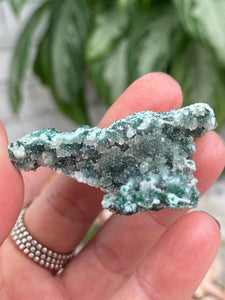 Contempo Crystals - Small Druzy Chrysocolla Malachite - Image 14