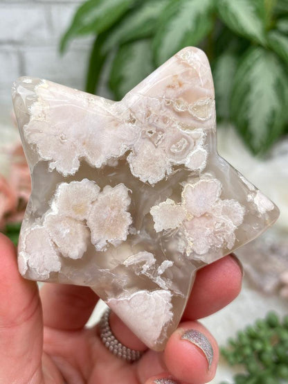 Flower Agate Stars