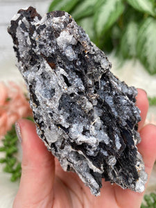 Contempo Crystals - moroccan-black-petrified-wood - Image 2