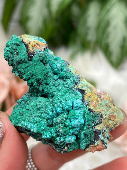 chrysocolla-malachite