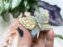 Load image into Gallery: Contempo Crystals - These colorful labradorite butterflies are fun and flashy! - Image 5