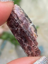 Load image into Gallery: Contempo Crystals - Mixed Tourmaline in Quartz - Image 23