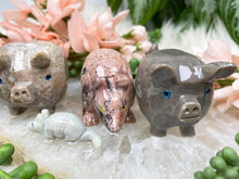 Load image into Gallery: Contempo Crystals - soapstone-armadillos-pigs - Image 3