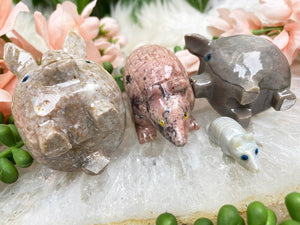 Contempo Crystals - Large Soapstone Animals - Image 5