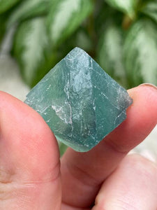 Contempo Crystals - blue-fluorite-octahedrons - Image 6