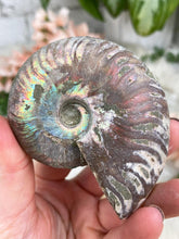 Load image into Gallery: Contempo Crystals - large-rainbow-ammonite - Image 6