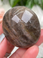 Load image into Gallery: Contempo Crystals - brown-moonstone-palms - Image 7