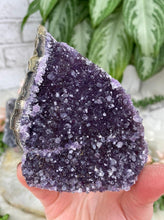 Load image into Gallery: Contempo Crystals - small-purple-amethyst - Image 8