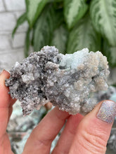 Load image into Gallery: Contempo Crystals - Mexico-Aurichalcite-cluster - Image 19