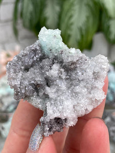 Contempo Crystals - Mexico Aurichalcite - Image 17