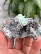Load image into Gallery: Contempo Crystals - Mexico-Aurichalcite-cluster - Image 17