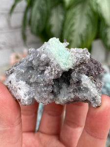 Contempo Crystals - Mexico-Aurichalcite-cluster - Image 16