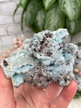 Load image into Gallery: Contempo Crystals - Mexico Aurichalcite - Image 11
