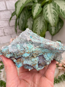 Contempo Crystals - mexico-blue-aurichalcite-crystals - Image 7