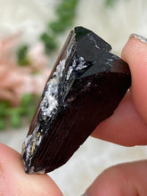 Load image into Gallery: Contempo Crystals - Small Black Tourmaline Mixes - Image 13