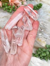 Load image into Gallery: Contempo Crystals - small-colombian-lemurian-points - Image 2