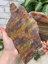 Load image into Gallery: Contempo Crystals - colorful-petrified-wood-slice - Image 6
