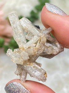 Contempo Crystals - Mixed Beryl Specimens - Image 23