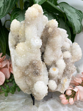 Load image into Gallery: Contempo Crystals -    Indian-Quartz-Stalactite-Cluster - Image 3