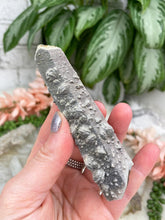 Load image into Gallery: Contempo Crystals - Inner-Mongolia-Gray-Quartz-Wand - Image 14
