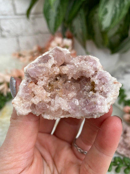 Iron-Included-Pink-Amethyst-Geode