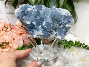 Contempo Crystals - Large-Blue-Celestite-Crystal-Cluster-in-Clear-Acrylic-Prong-Crystals-Stand - Image 5