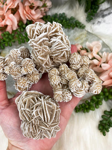 Contempo Crystals - Large-Desert-Rose-Selenite-Clusters - Image 7