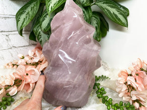 Contempo Crystals -    Large-Lavender-Rose-Quartz-Crystal-Flame-from-Madagascar - Image 1