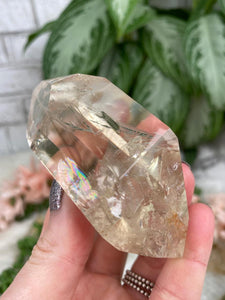Contempo Crystals - Large-Natural-Citrine-Double-Point - Image 7