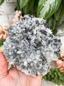 Contempo Crystals - Large-Quartz-Sphalerite-Pyrite-Cluster - Image 8