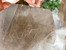 Load image into Gallery: Contempo Crystals - Large-Rutilated-Smoky-Quartz-Point - Image 7