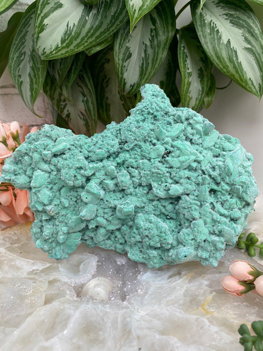 Large-Seafoam-Green-Blue-Kobyashevite-Crystal-with-Furry-Gypsum-Texture