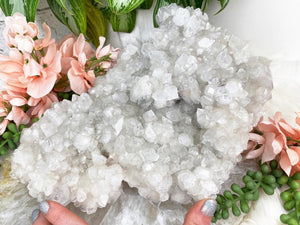 Contempo Crystals -    Large-White-Apophyllite-Cluster - Image 1