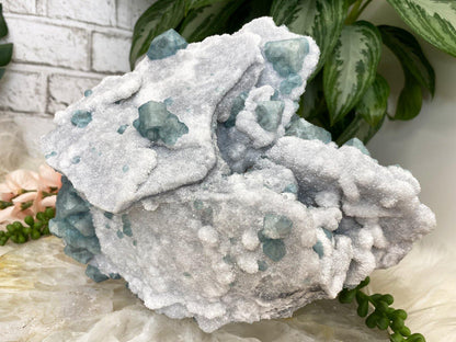 Fujian-Green-Fluorite-on-White-Druzy-Quartz-Crystal