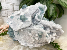 Load image into Gallery: Contempo Crystals - Fujian-Green-Fluorite-on-White-Druzy-Quartz-Crystal - Image 6