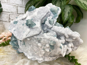 Contempo Crystals - Fujian-Green-Fluorite-on-White-Druzy-Quartz-Crystal - Image 5