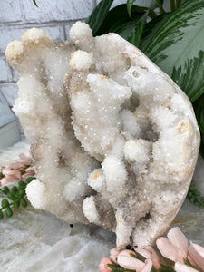 Contempo Crystals - Large-White-indian-Quartz-Stalactite-Cluster - Image 5