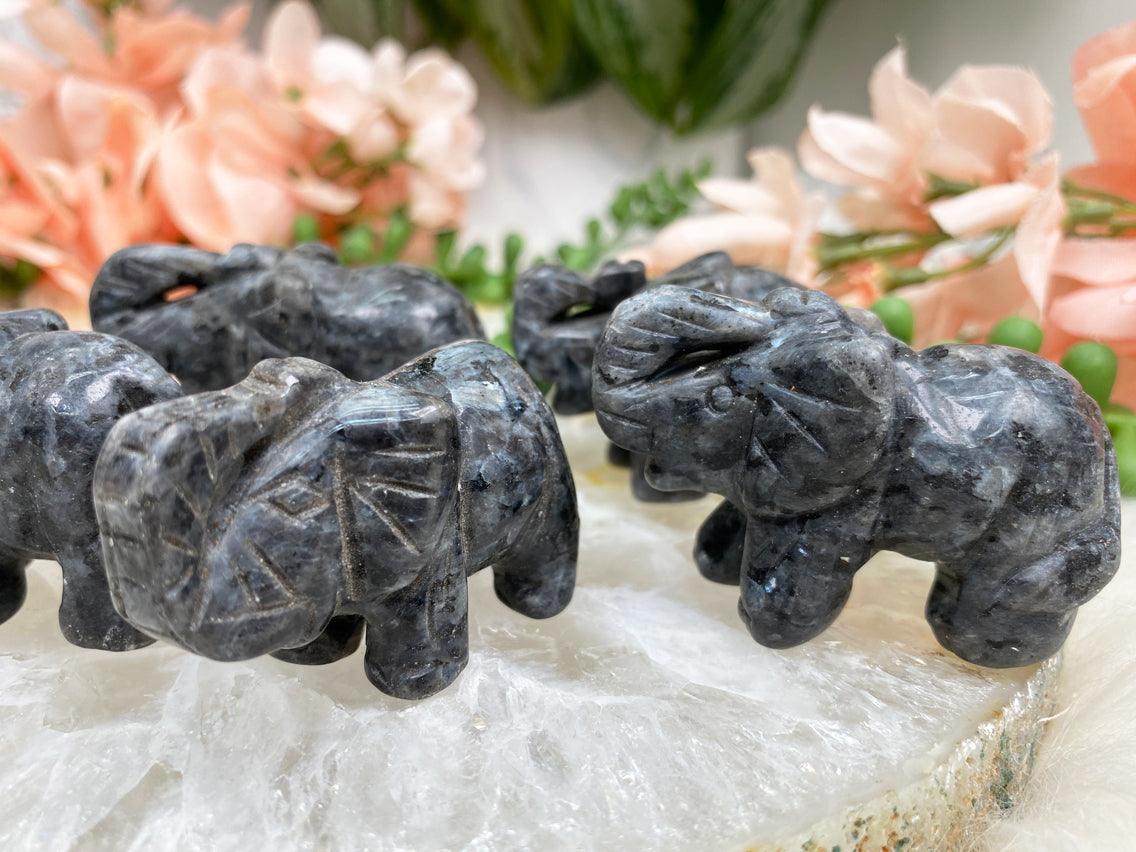 Larvikite-Elephant-Crystal-Carving-with-Silver-Flash