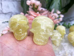 Contempo Crystals - lemon pineapple calcite crystal skulls - Image 5