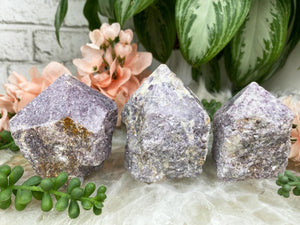 Contempo Crystals - Lepidolite-Mica-Points - Image 5