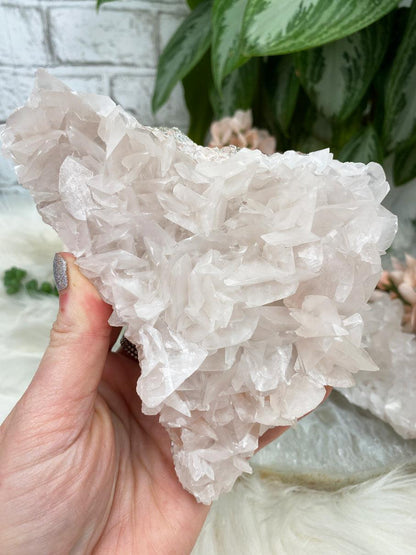 Light-Pink-Bladed-Calcite