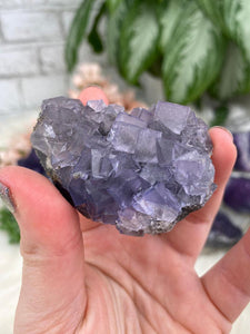 Contempo Crystals - Cubic Purple Fluorite Clusters - Image 15