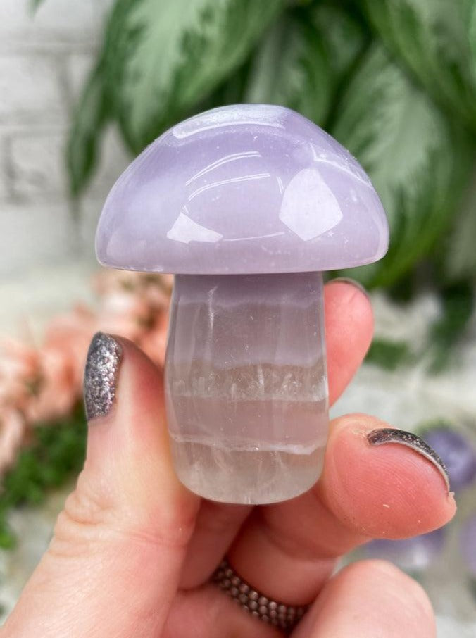 Light-Purple-Fluorite-Mushroom