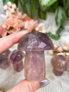 Contempo Crystals - Light-Purple-Mushroom-Crystal - Image 10