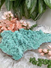 Load image into Gallery: Contempo Crystals - MExico-Teal-Kobyashevite-Crystal-Cluster - Image 10