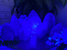 Load image into Gallery: Contempo Crystals - Madagascar-Green-Fluorite-Freeforms-Under-UV-Light - Image 3