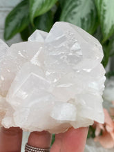 Load image into Gallery: Contempo Crystals - Mangano-Calcite-Closeup - Image 14
