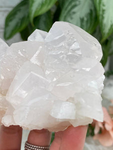 Contempo Crystals - Mangano-Calcite-Closeup - Image 13
