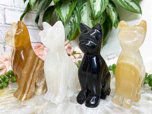 Mexican-Onyx-Calcite-Crystal-Cat-Carving-Black-White-Orange